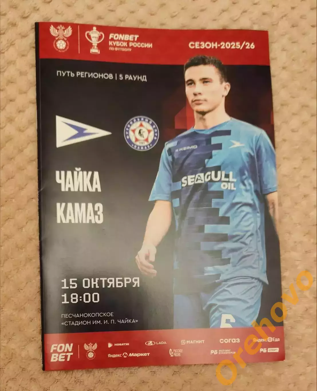 Кубок России Чайка Песчанокопское - Камаз Набережные Челны 15.10.2025