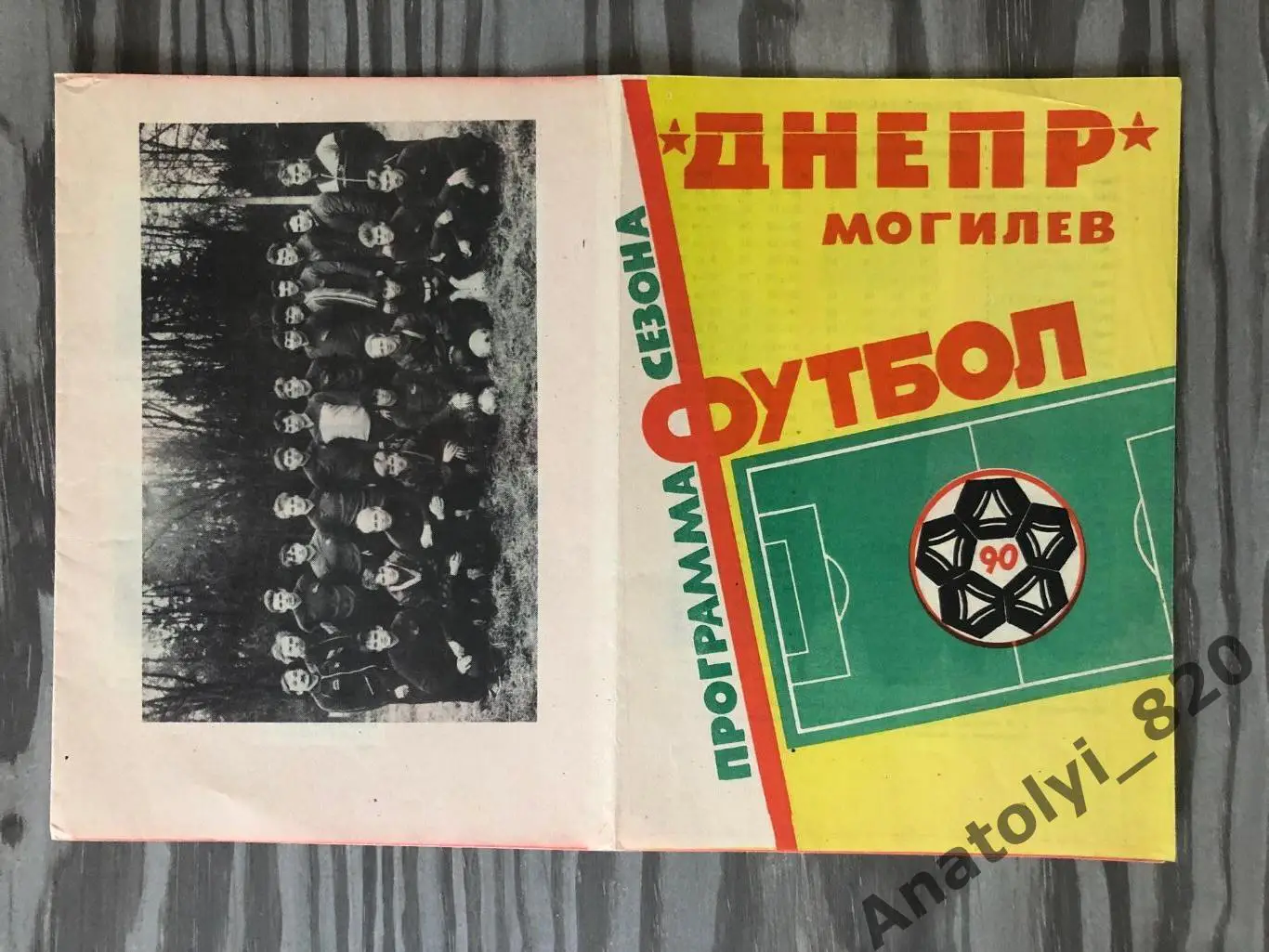 Днепр Могилёв 1990 год