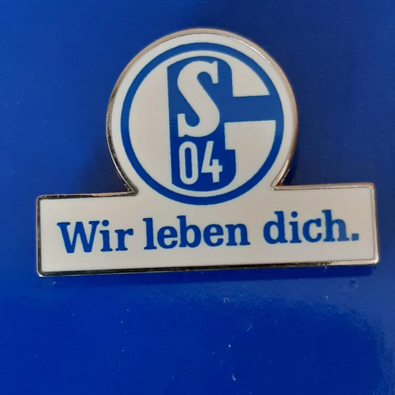 ФК Шальке 04 ( FC Schalke 04) 1