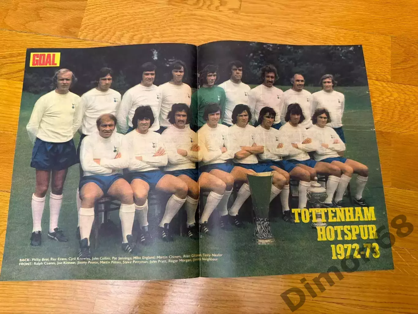 Тотенхэм (Goal)