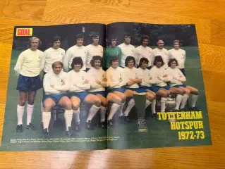 Тотенхэм (Goal)