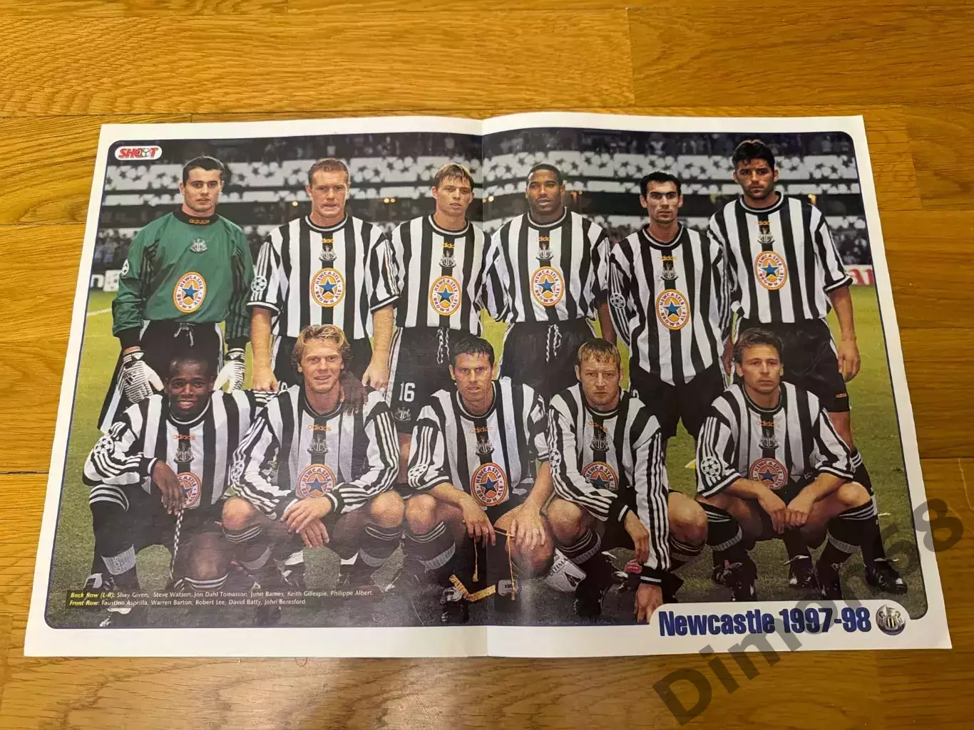 Ньюкасл;марк хьюз; эяль беркович