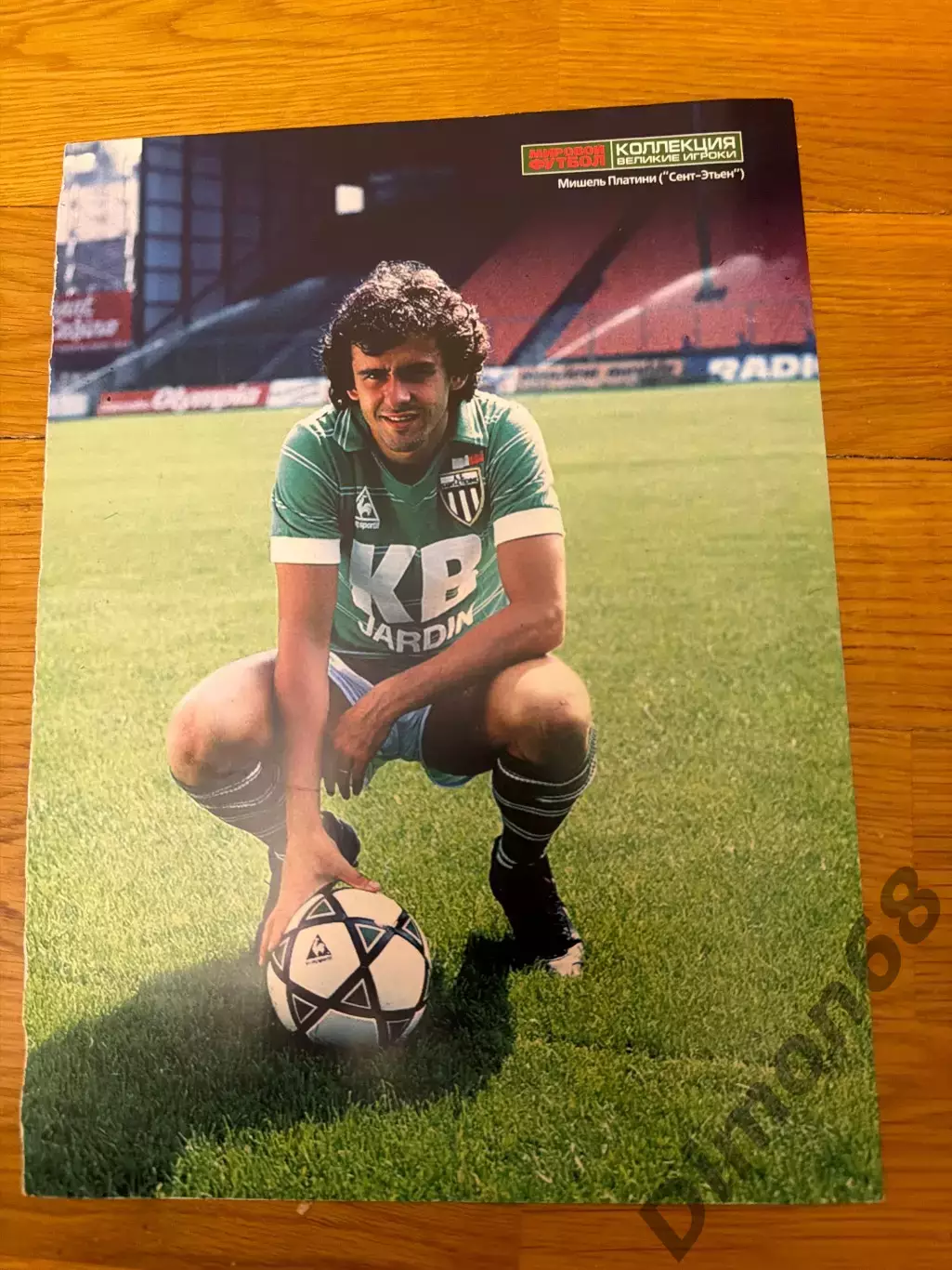 Мишель платини