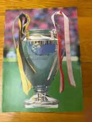 Кубок лиги чемпионов