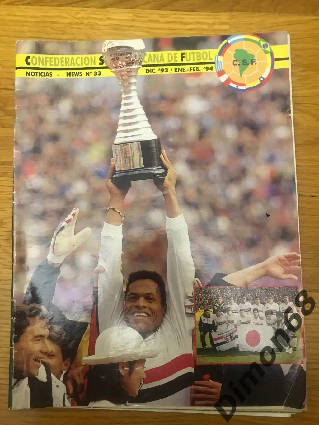 журнал южноамериканской конфедерации 93/94г