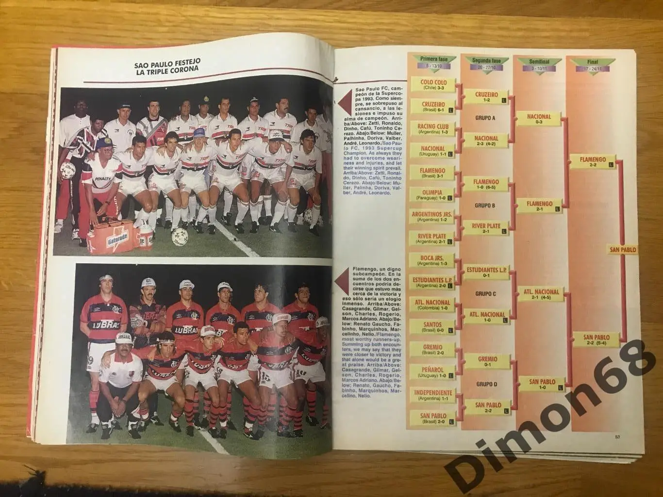 журнал южноамериканской конфедерации 93/94г 3