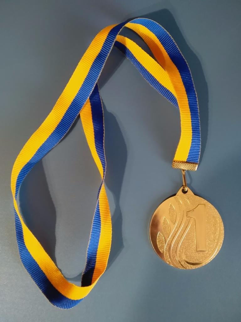 Медаль Универсиада Днепропетровской области 2019. 1 место. 1