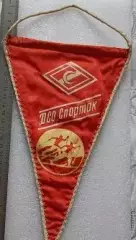 Редкий Вымпел-ДСО Спартак Лыжные гонки Лыжи