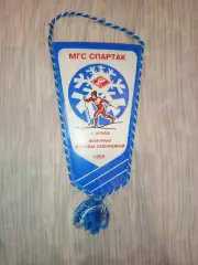 Вымпел ДСО МГС Спартак Лыжи 1996 1 место
