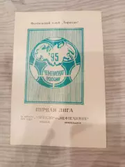 Торпедо Арзамас - Нефтехимик Нижнекамск 13.08.1995