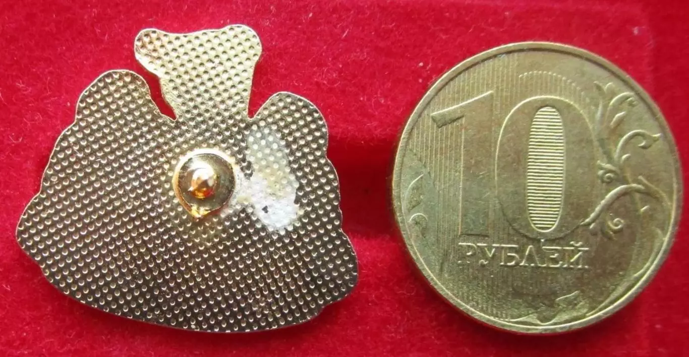 Футбольный клубНьюкасл ЮнайтедАнглия. 1