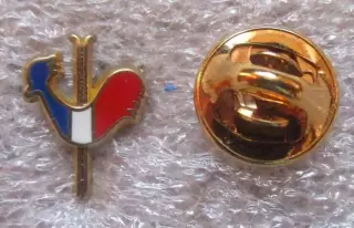 Значки Франция. Спорт - Французская федерация лыжного спорта ( Эмаль )