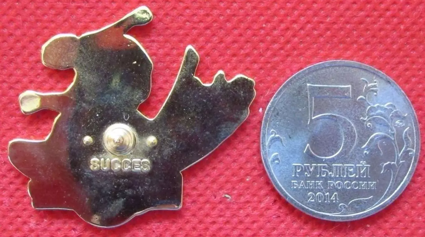 Значки Франция . Спорт - Скейтборд ( Эмаль ) 1