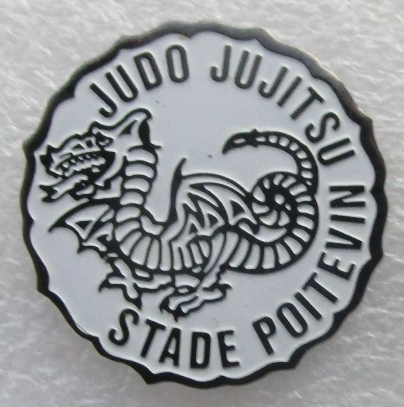 Французский клуб дзюдо и джиу-джитсу Judo Jujit Stade Poitevin. 1
