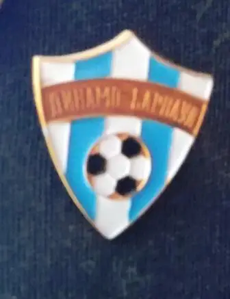 Футбольный клуб Динамо Барнаул.