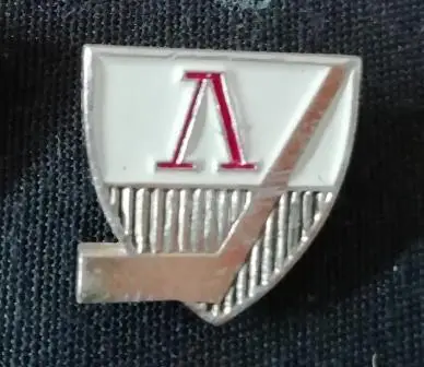 Хоккей. Локомотив. 1-1.