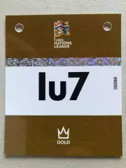 Бейдж/Пропуск Албанія - Україна 2024