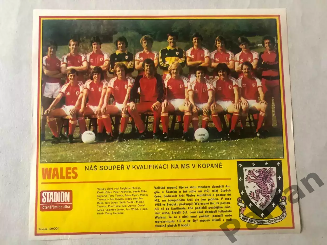 Stadion Постер Уельс