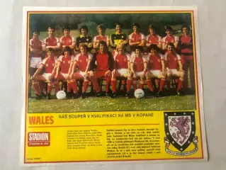 Stadion Постер Уельс