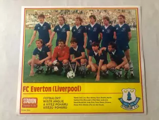 Stadion Постер Евертон 1