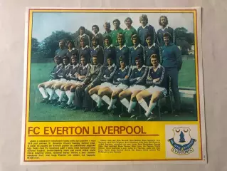 Stadion Постер Евертон 2