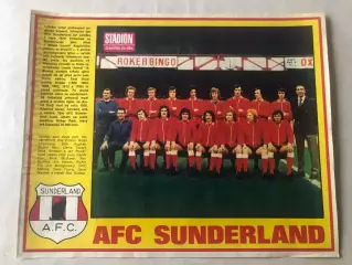 Stadion Постер Сандерленд