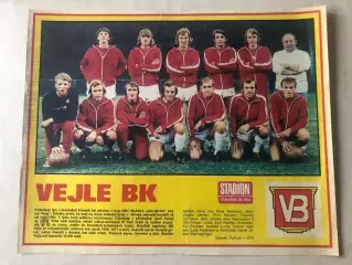 Stadion Постер Вайле