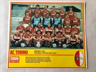 Stadion Постер Торіно