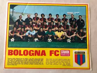 Stadion Постер Болонья