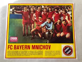 Stadion Постер Баварія 4