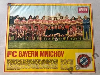 Stadion Постер Баварія