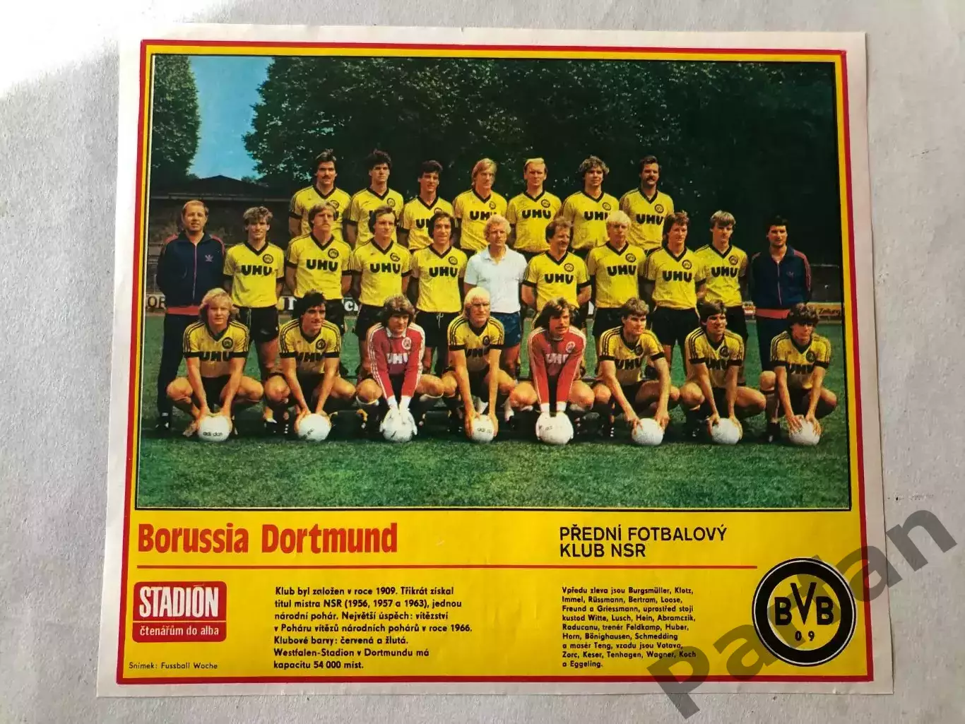 Stadion Постер Боруссія Д 1