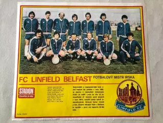 Stadion Постер Лінфілд