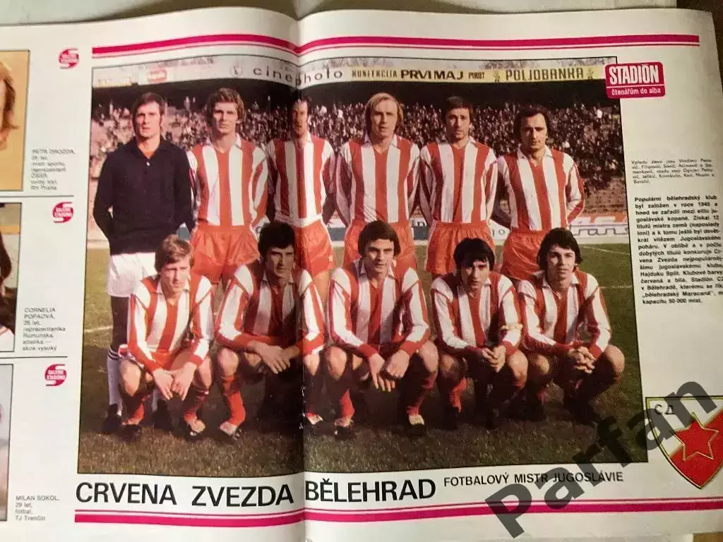 Stadion Постер Црвена Звезда 5