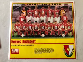 Stadion Постер Гонвед 1