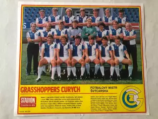 Stadion Постер Грасхопперс 1