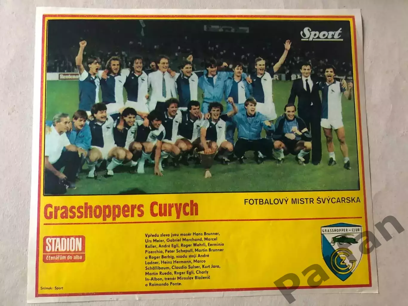 Stadion Постер Грасхопперс 2