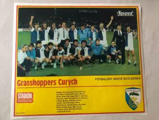 Stadion Постер Грасхопперс 2