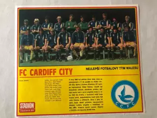 Stadion Постер Суонсі