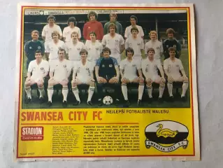 Stadion Постер Суонсі