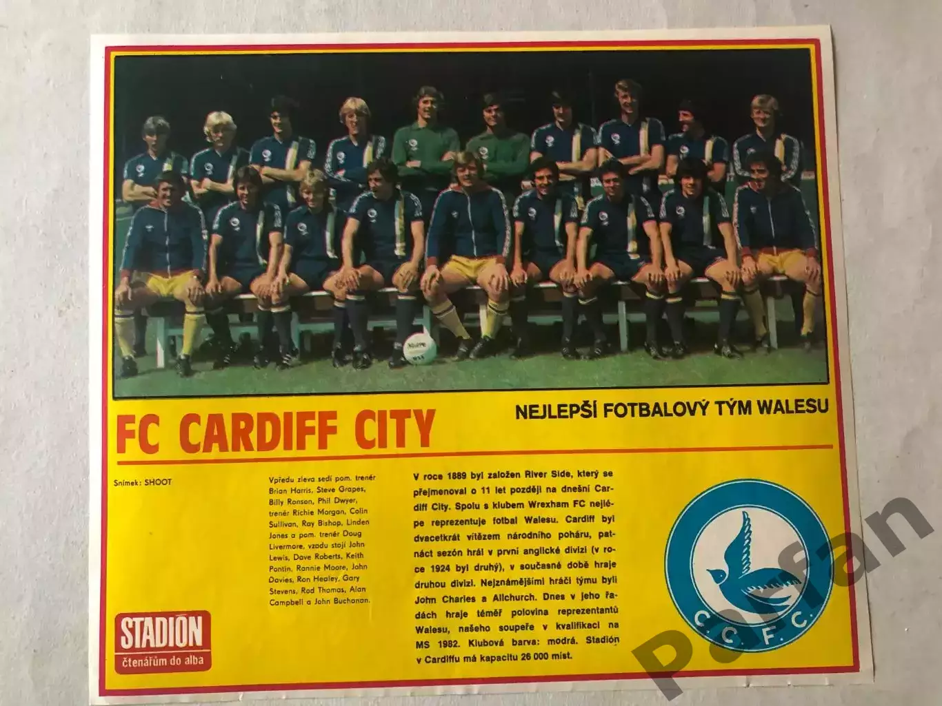 Stadion Постер Кардіф Сіті