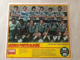 Stadion Постер Греміо