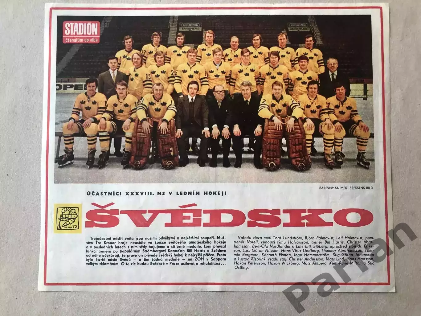 Stadion Постер Швеція Хокей