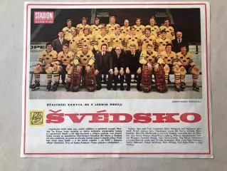 Stadion Постер Швеція Хокей