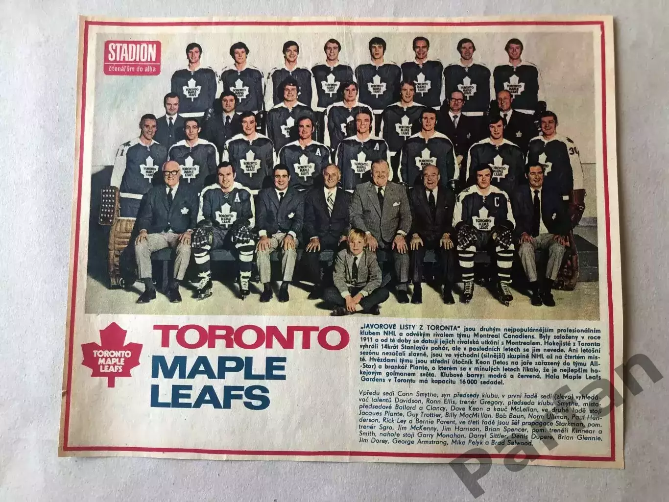 Stadion Постер Торонто Хокей