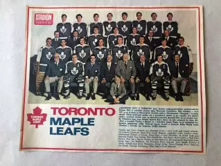 Stadion Постер Торонто Хокей