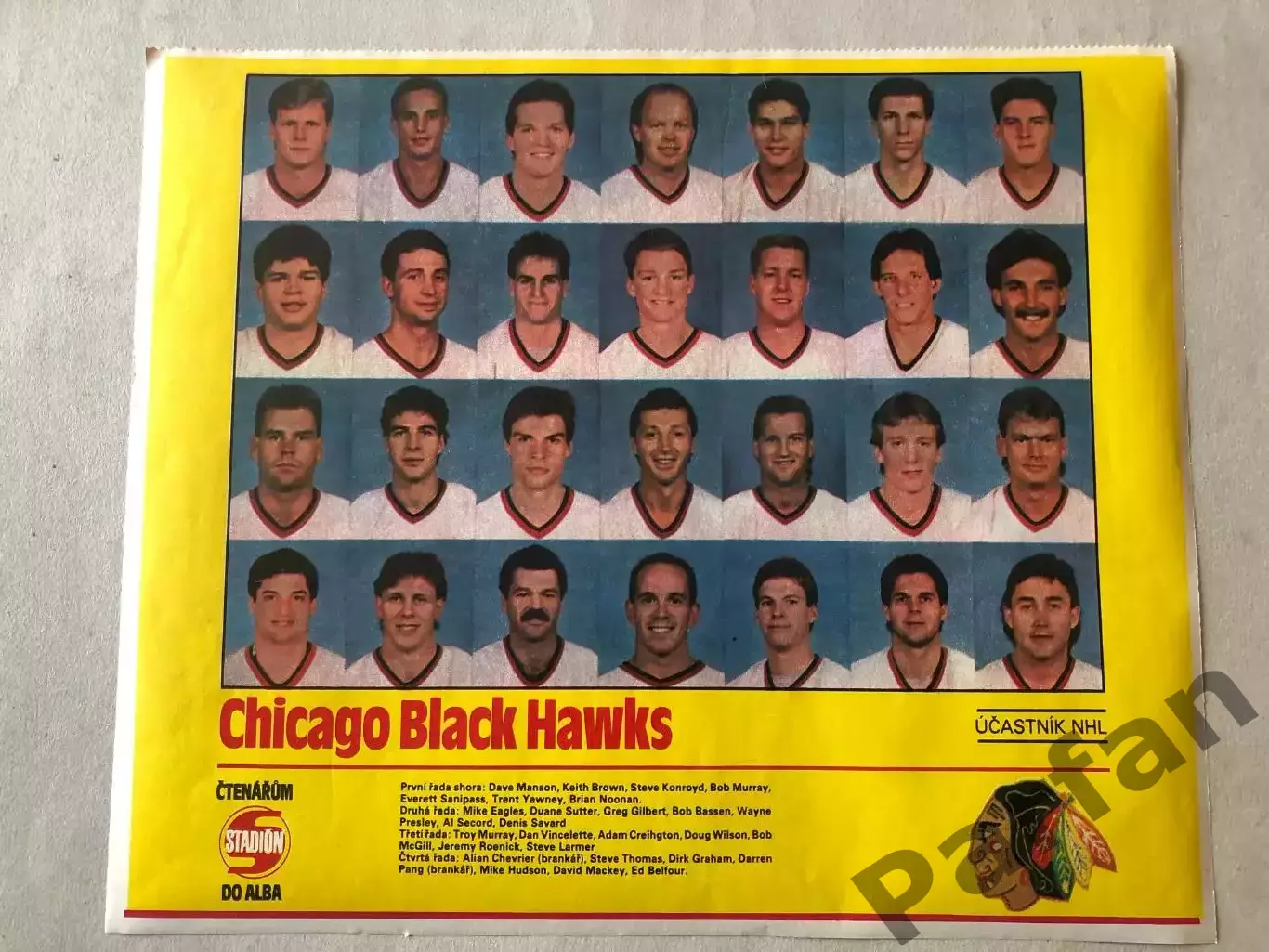 Stadion Постер Чікаго Хокей