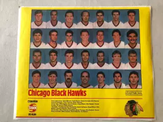 Stadion Постер Чікаго Хокей