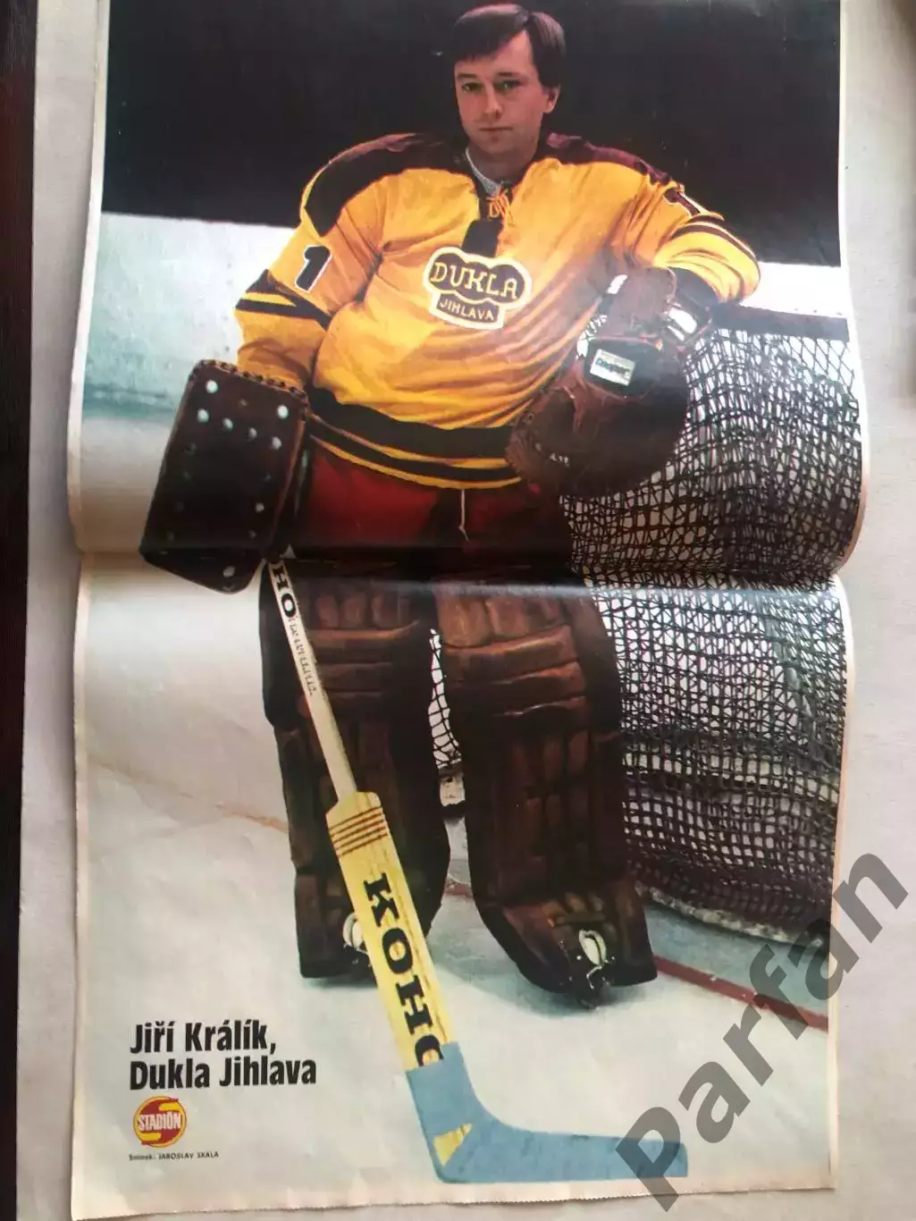 Stadion Постер Шкода Хокей 1