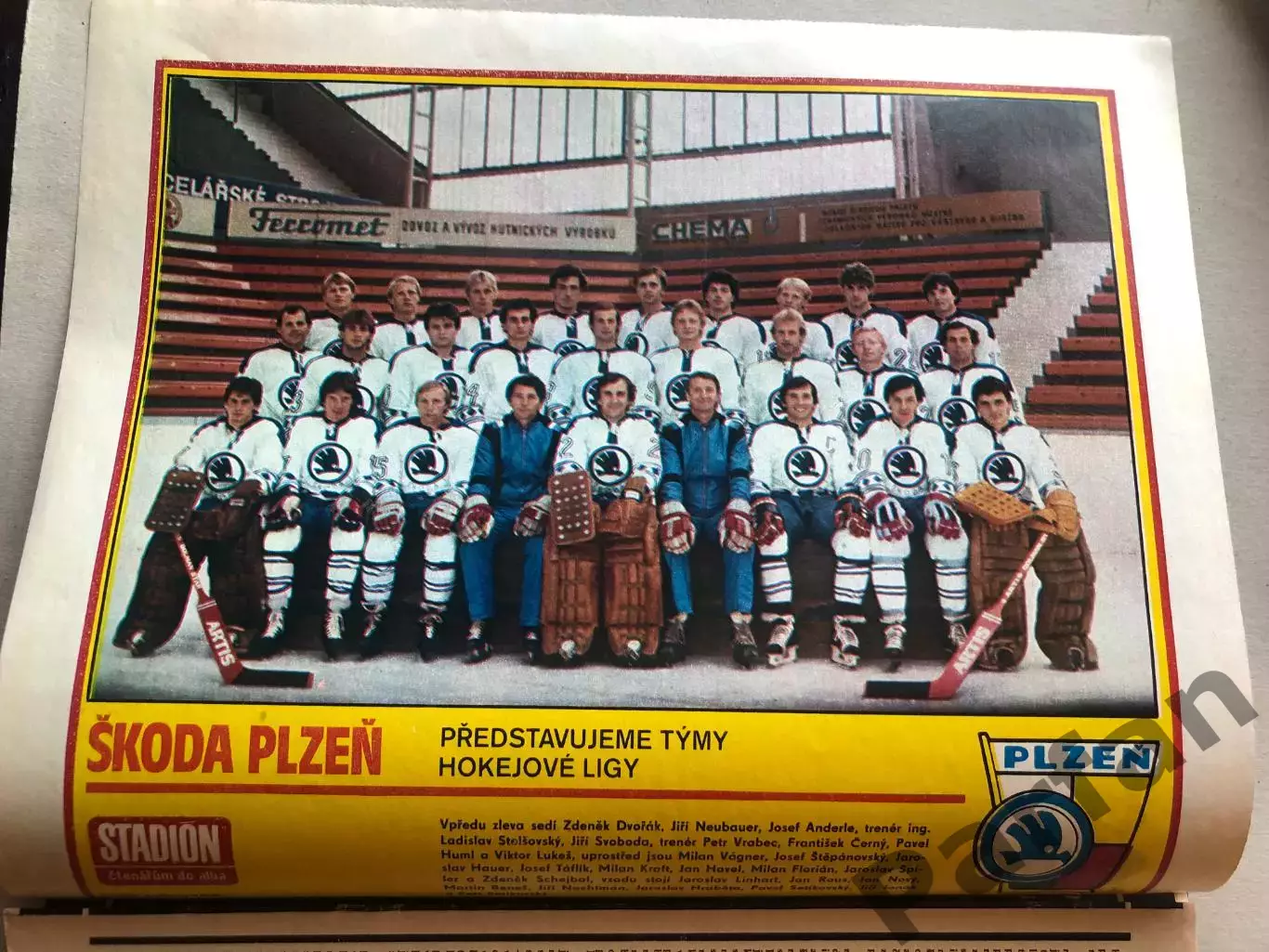 Stadion Постер Шкода Хокей